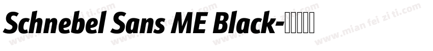 Schnebel Sans ME Black字体转换
